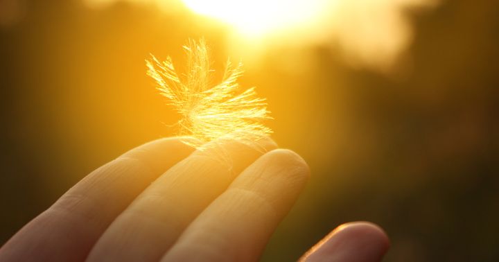 Dreams and Visions: God's Language in the Night