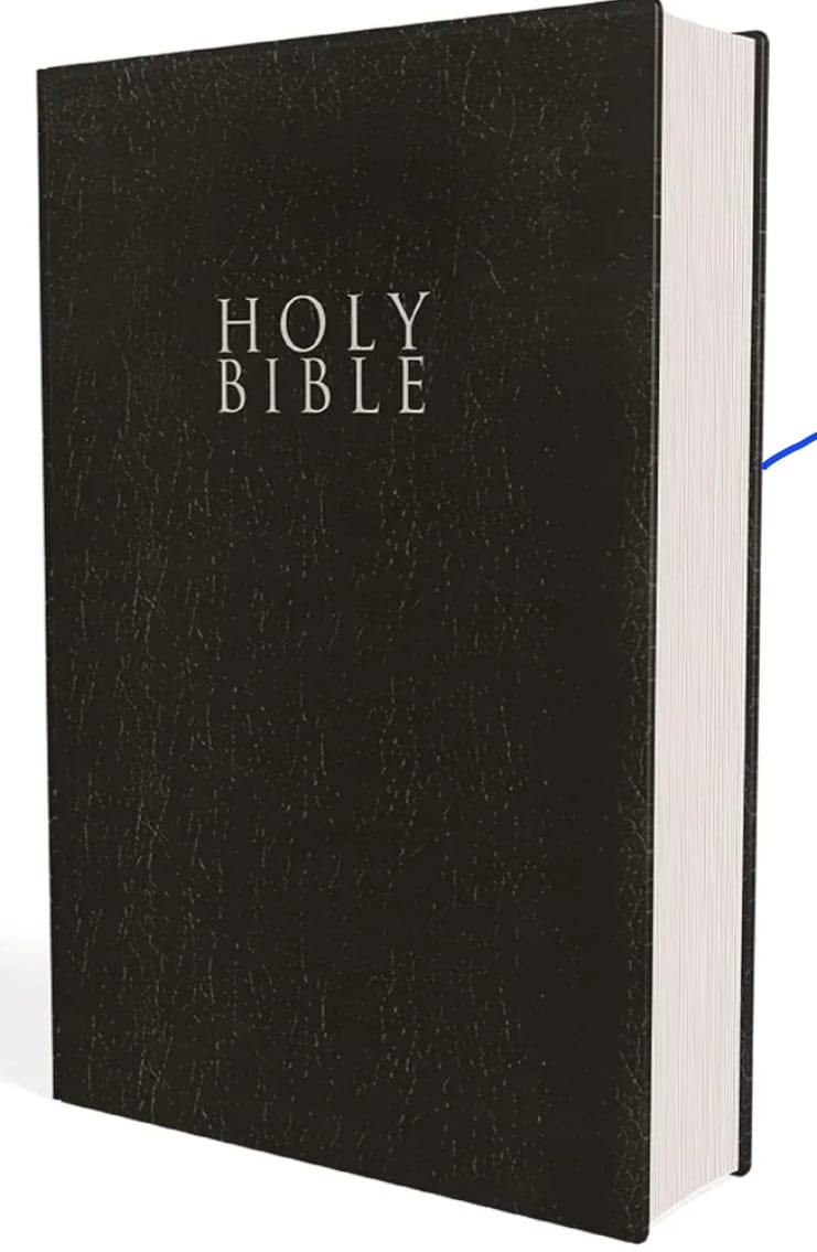 The New International Version (NIV) Bible